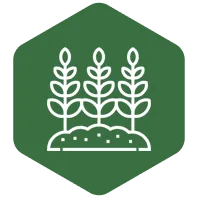 AGRICULTURE SECTOR Green Growth 